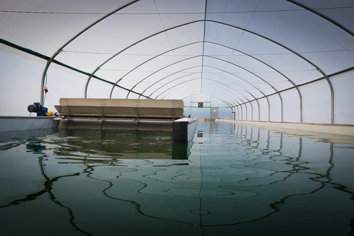 � ���������������, ������������ ������� � ������������ �������� �������