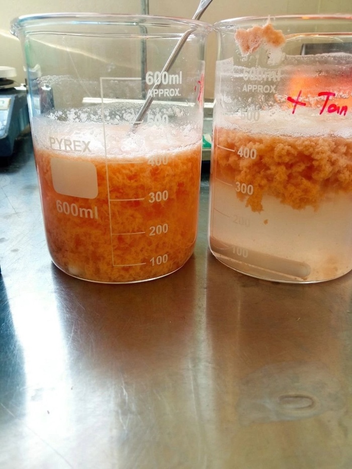 � ���������������, ������������ ������� � ������������ �������� �������