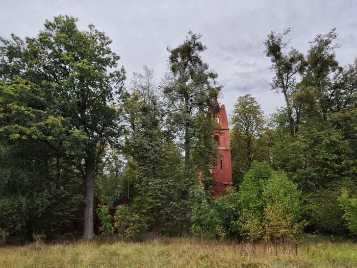 Кирха, прячущаяся в деревьях. Вид с южного фасада