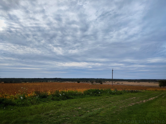 Поля близ Зеленцово