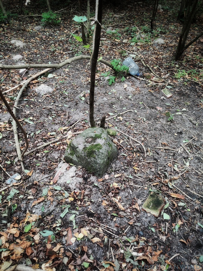 Остатки основания колонны