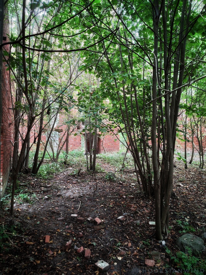 Зарастающее зеленью внутренннее пространство кирхи