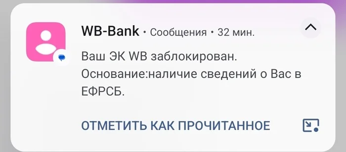 Новогодний подарок от вайлдбериса - Длиннопост, Скриншот, Мошенничество, Моё, Негатив, Банк, Переписка, Wildberries, Волна постов, Уведомление, Банкротство