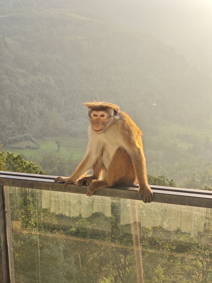 � ������ ���� ������� �������� � �����������