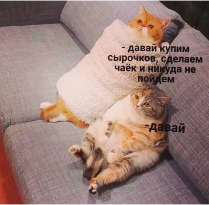       , ,  ,  ,  ,  (), ,  , ,  