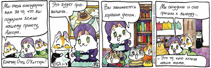 Котейкины Новости от 03.01.2025