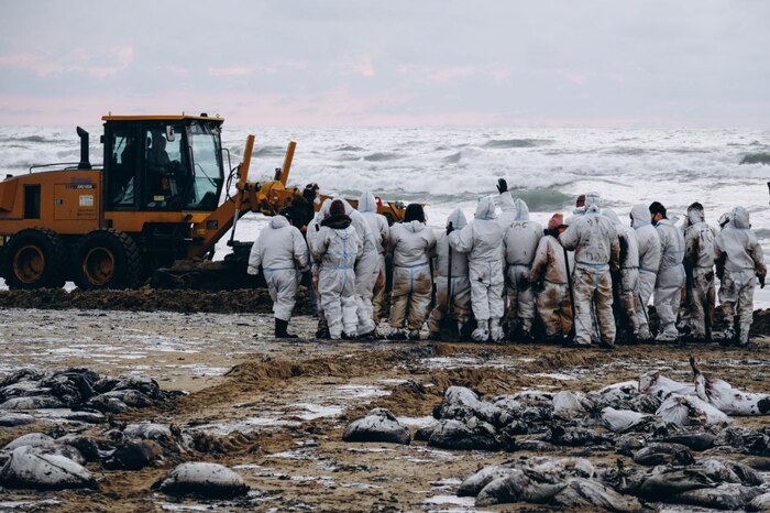 ������ ��������� � ������ �����