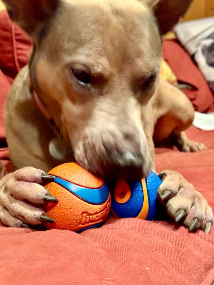 "Один сломал, другой потерял"