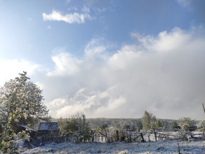 ������ �������