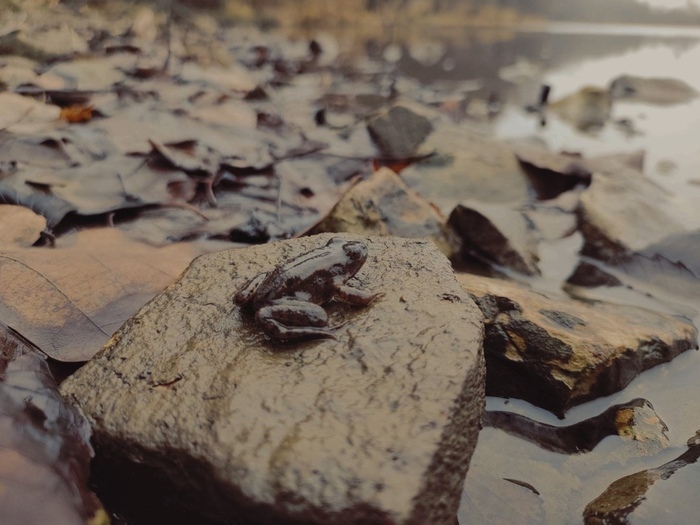 ������� �����