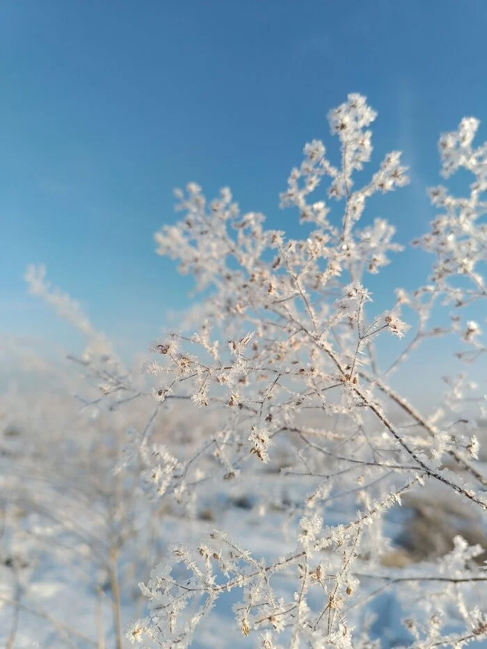Кристаллизация - Природа, Снег, Кристаллы, Длиннопост, Зима, Фотография