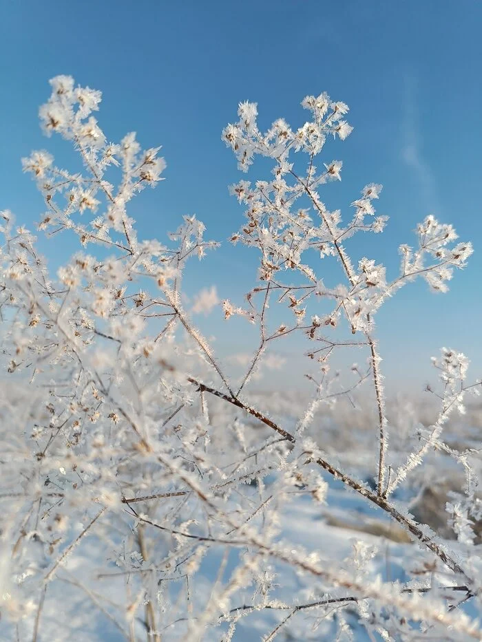 Кристаллизация - Природа, Снег, Кристаллы, Длиннопост, Зима, Фотография