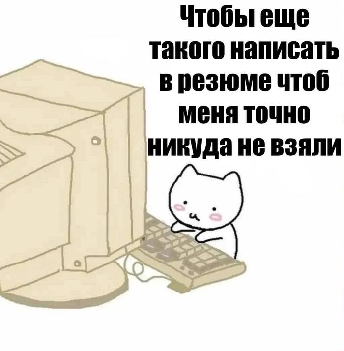  ,   , , , , Telegram ()