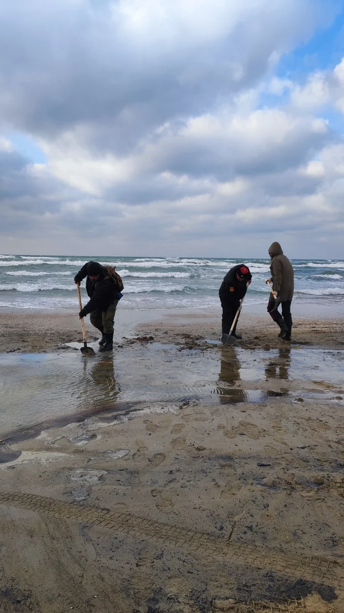 Ecological disaster in Anapa 6 - My, Anapa, Ecological catastrophy, Who if not us, Longpost
