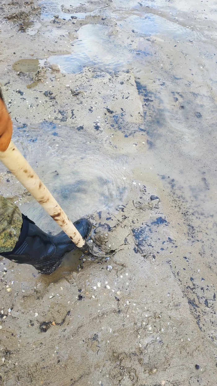 Ecological disaster in Anapa 6 - My, Anapa, Ecological catastrophy, Who if not us, Longpost