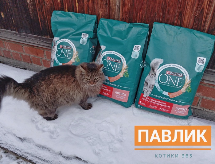 Павлик 03.01.2025