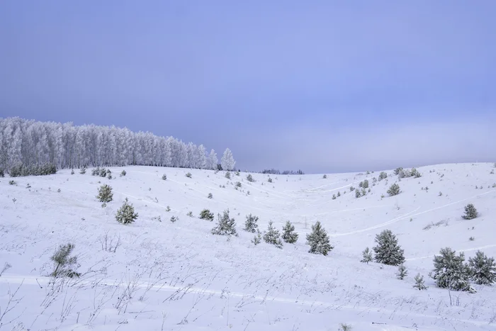 Winter, winter! - My, Landscape, The nature of Russia, Tatarstan, Winter