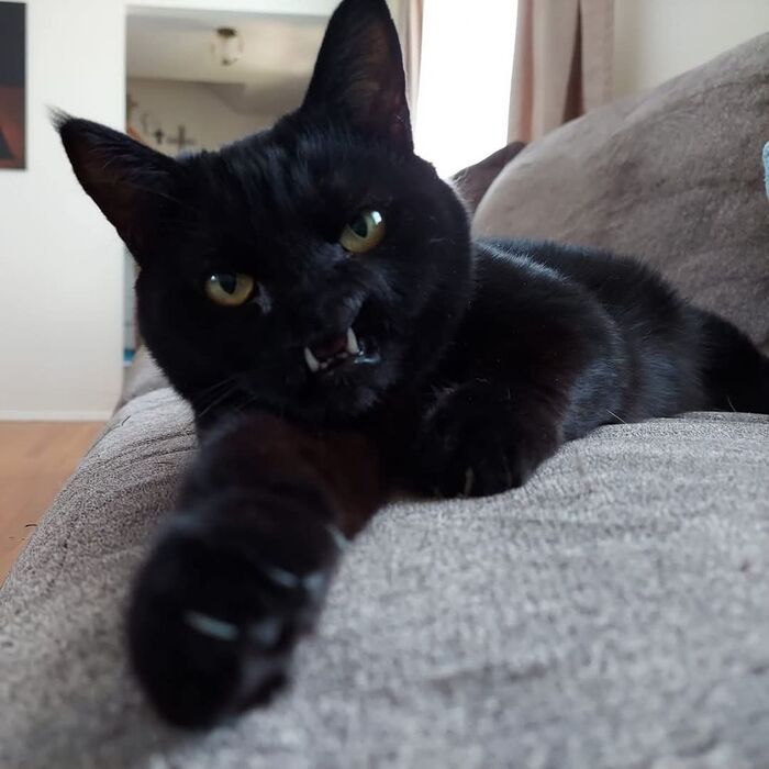 - Как же я рад тебя видеть!