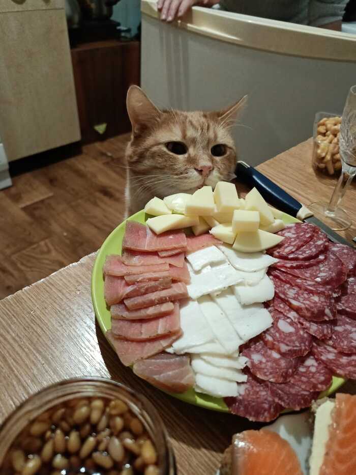 ˸   , , 