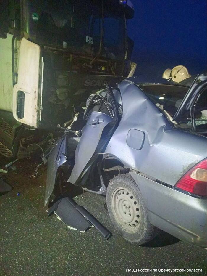      .        .   .         ,   ..      .