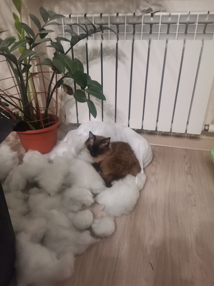    , ,  , , , ,  , 