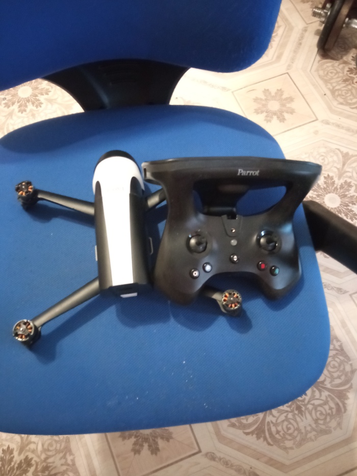 ���� ��� � ���� ������������� parrot?