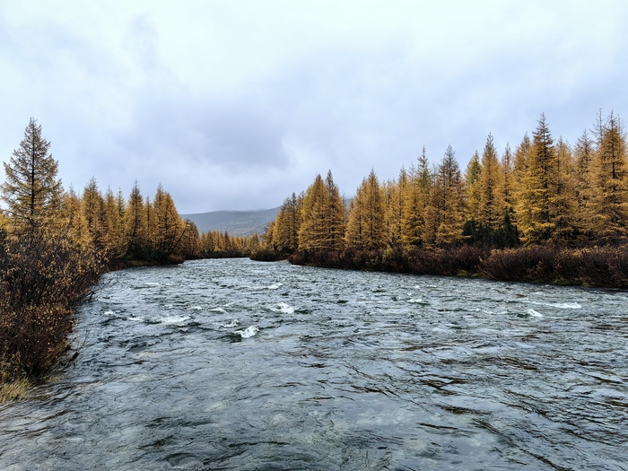 �� ���� � �������, ����� ����� �� �����. ������ ��� ���� ������� ��� � �� ��������� �� �. �����.