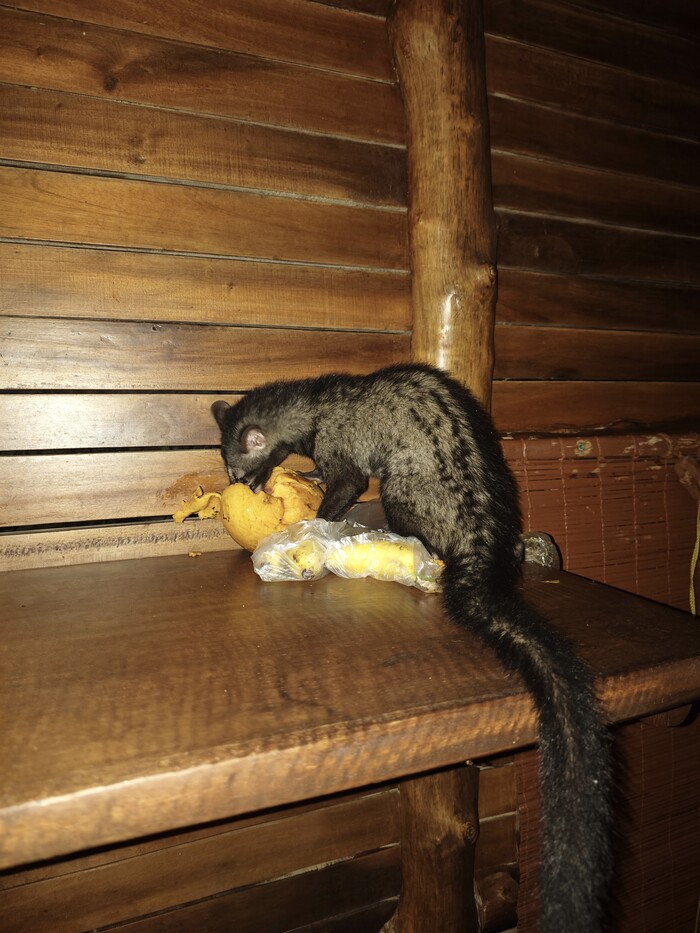 ����� ���������.