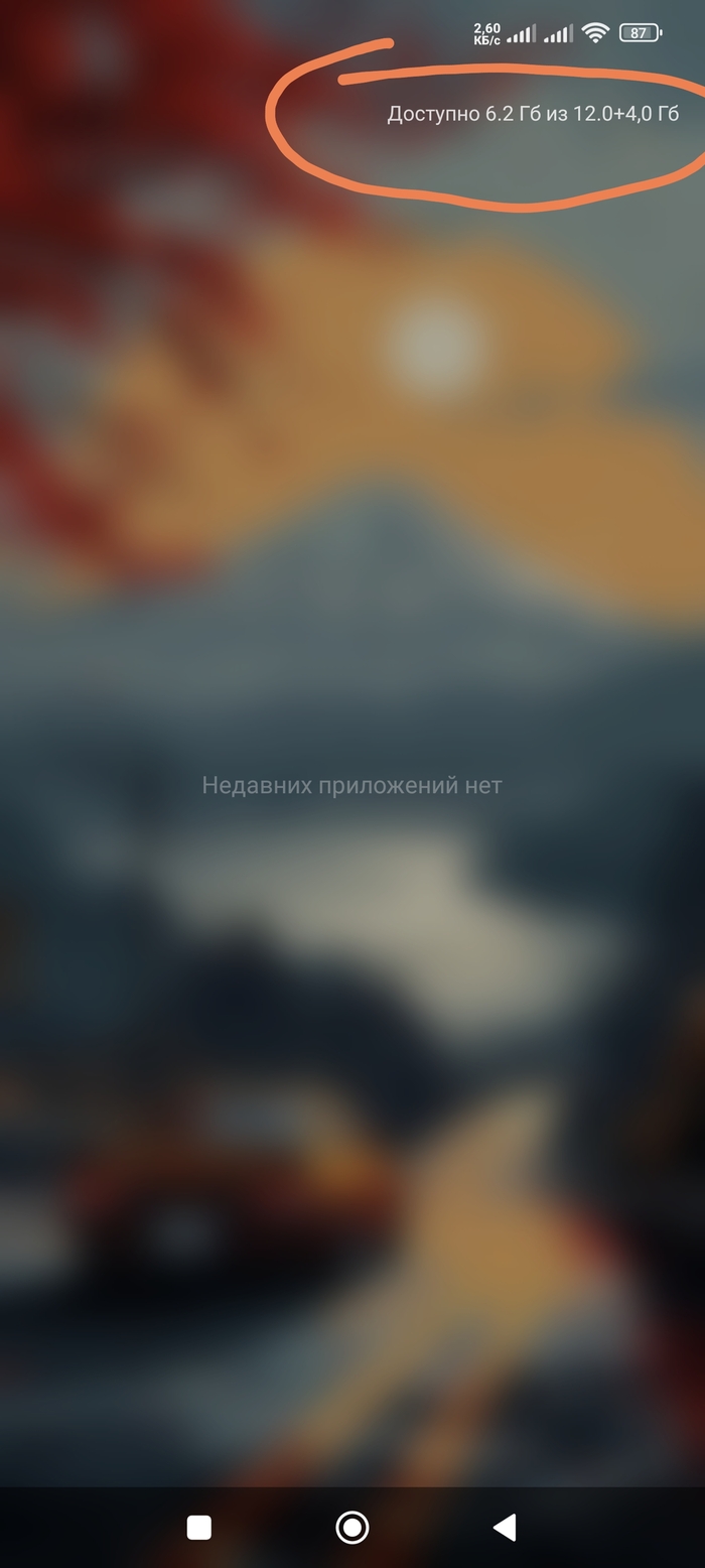 Отображение памяти, после включения в настройках.