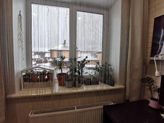 Так выглядит мой подоконник на данный момент