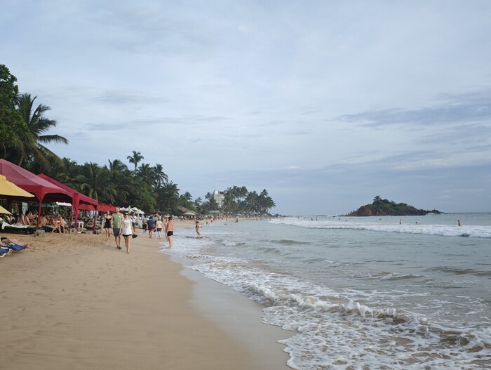 ����� ������ ����� �����.