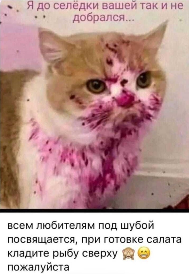 ���� ������...