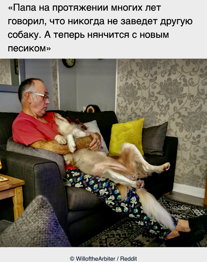  , ADME, Reddit, 