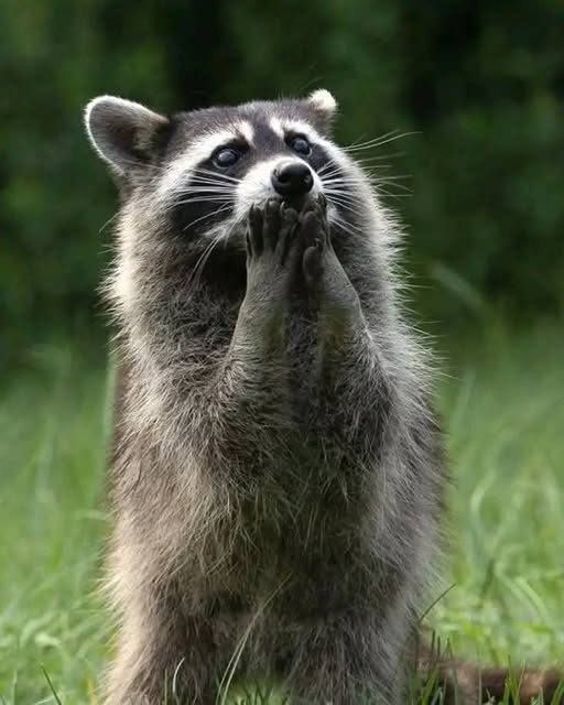 Что в мире творится!