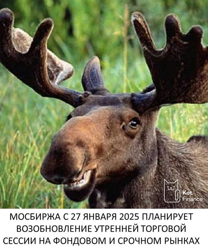 Мосбиржа возобновит утренние торги