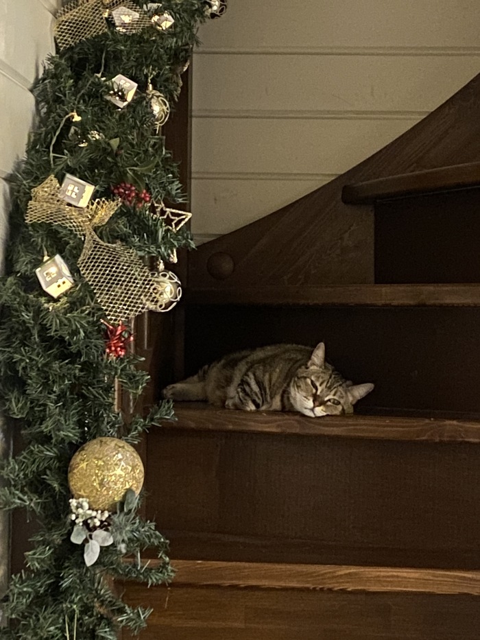 ���������� ������