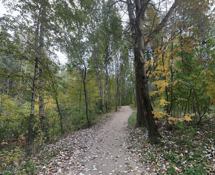 Тропинка в Южно-Приморском парке