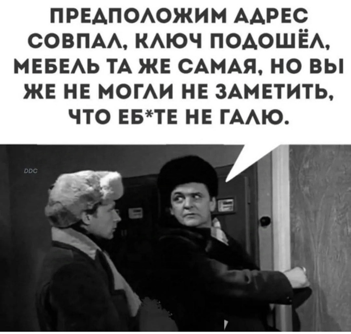    ,   , Telegram (), ,       (), 