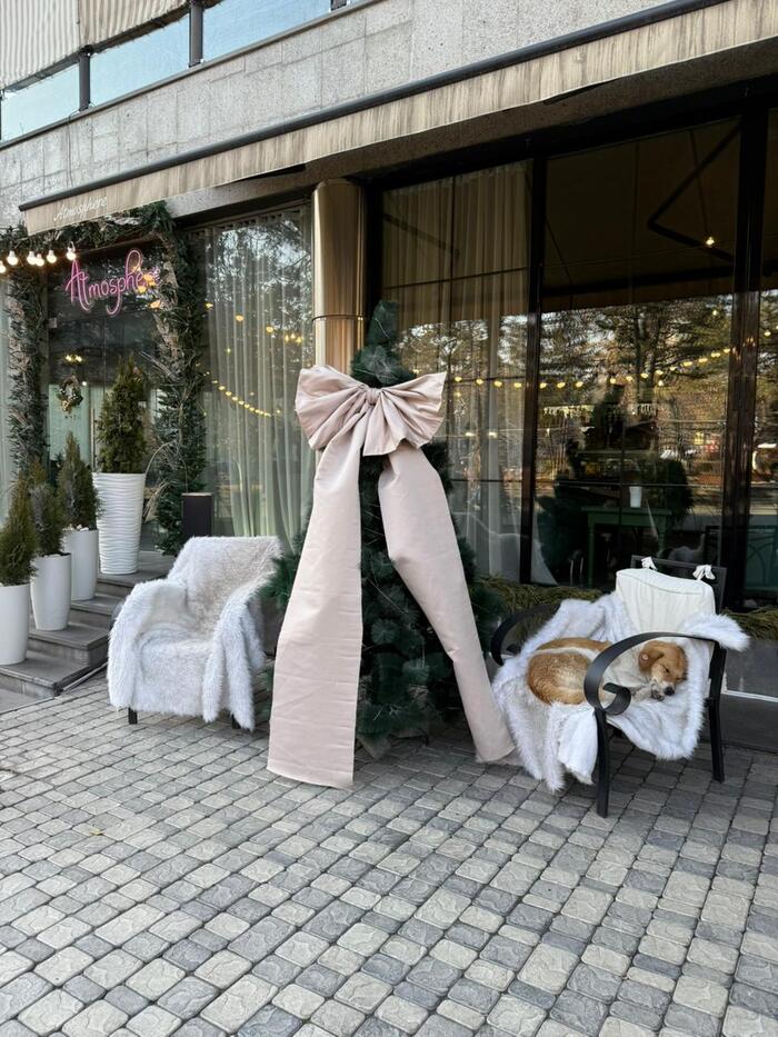 Собачка культурно отдыхает