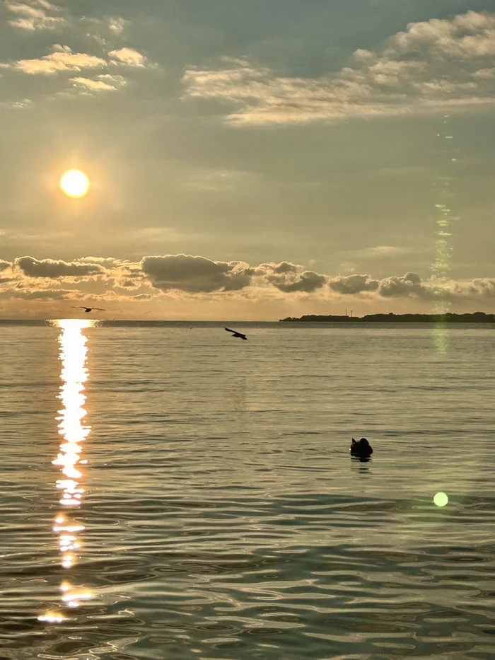 A bit of warm December - My, Sea, Black Sea, Sunset, Sunrises and sunsets, Gelendzhik, Mood, Heat, December, Mobile photography, Longpost