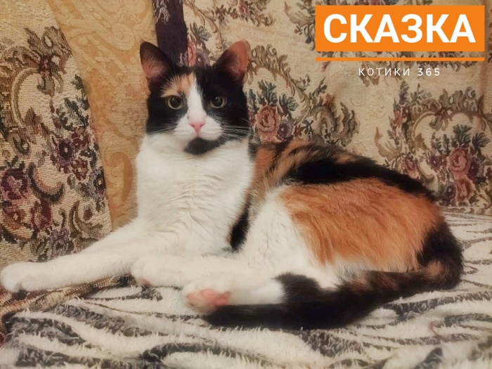 Сказка 04.01.2025