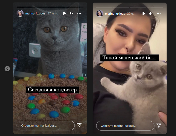 Блогерша Marina Luxious и её кот Бублик ...