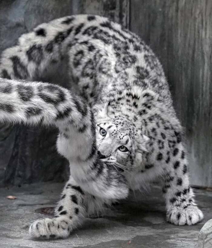 Мамин хвост - любимая игрушка в любом возрасте