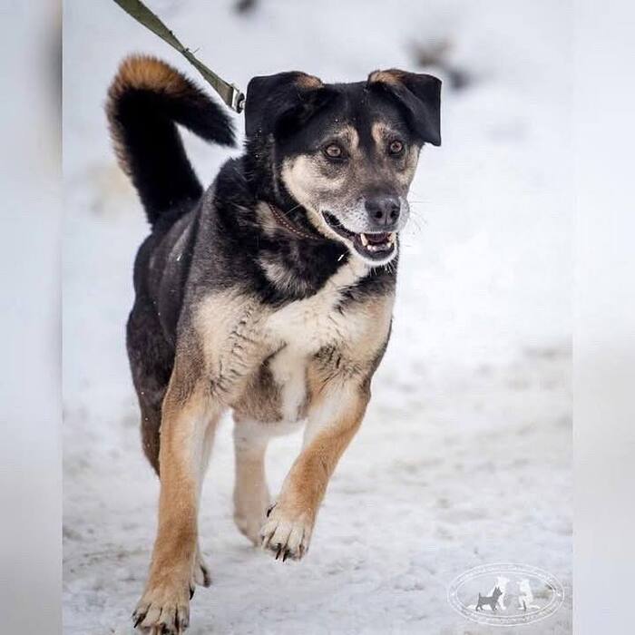 6 лет жизни в приюте, как вечность...