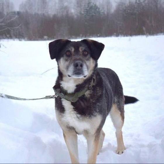 6 лет жизни в приюте, как вечность...