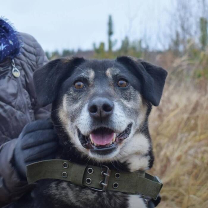 6 лет жизни в приюте, как вечность...