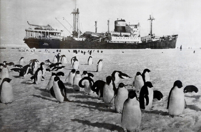      ""           .     . 5  1956 . 