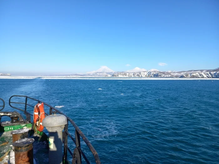 Eight hundred thousand rubles for eight months - My, Work, Work at sea, Personal experience, Treatment, A fish, Дальний Восток, Sea of ??Okhotsk, Experience, Salary, Income, Career, Work, Russia
