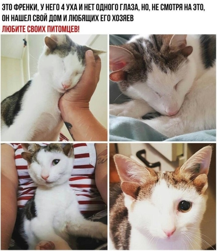    ...  , , , ,  