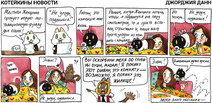 Котейкины Новости от 05.01.2025